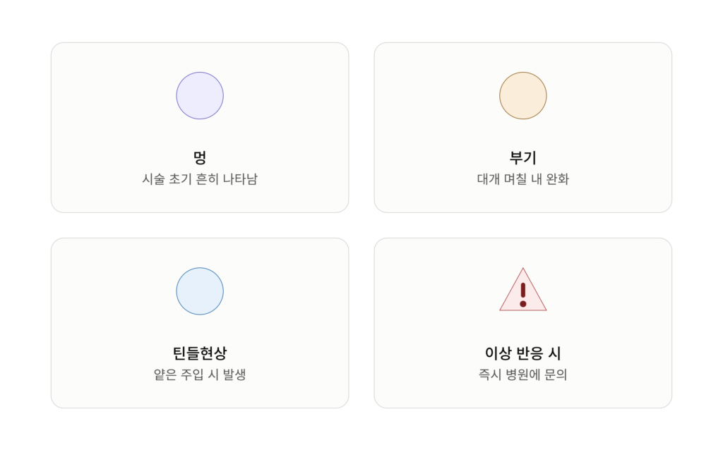 눈 밑 필러 부작용(멍·부기·틴들현상) 안내 인포그래픽
