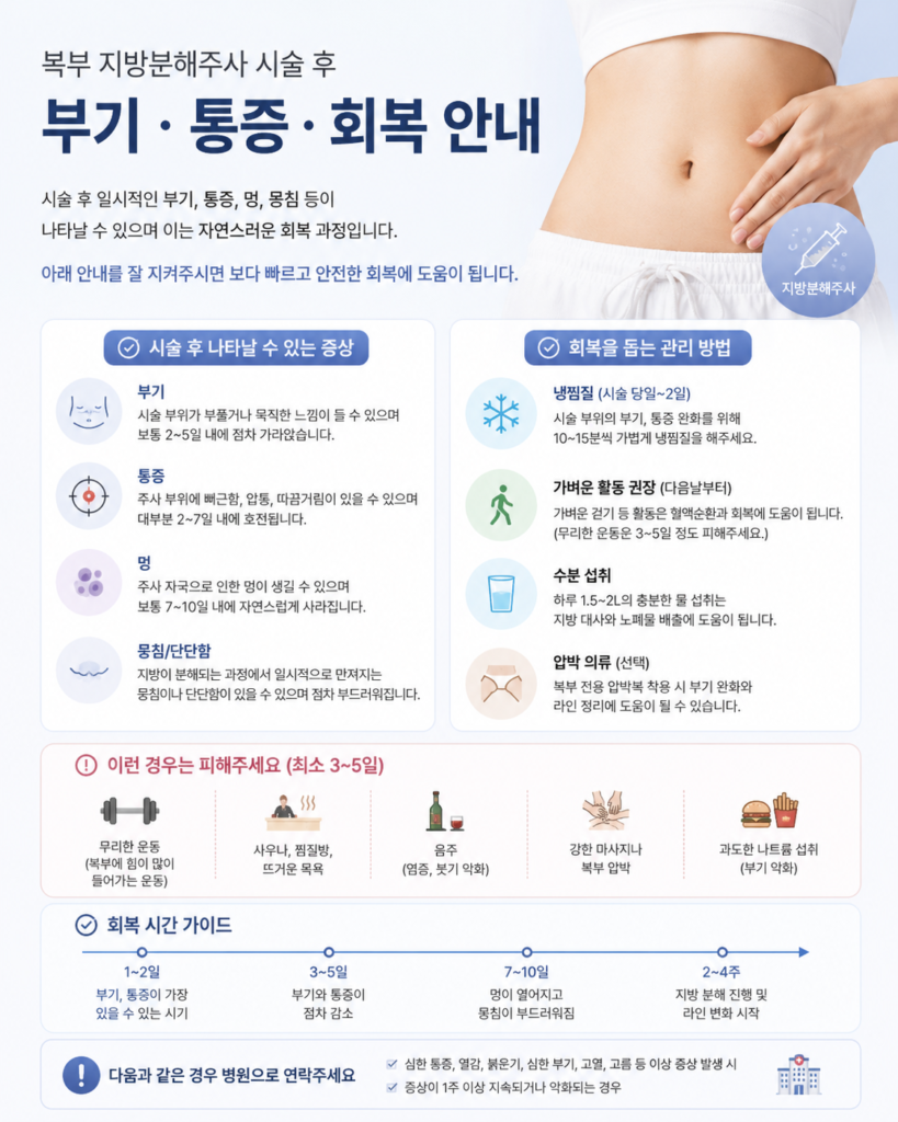 복부 지방분해주사 시술 후 부기 통증 회복 안내 이미지